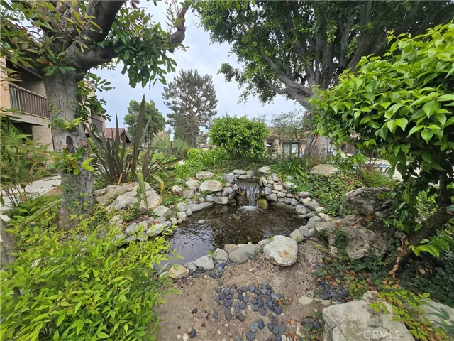 Creek runs through part of the community and leads to this Koi Pond!