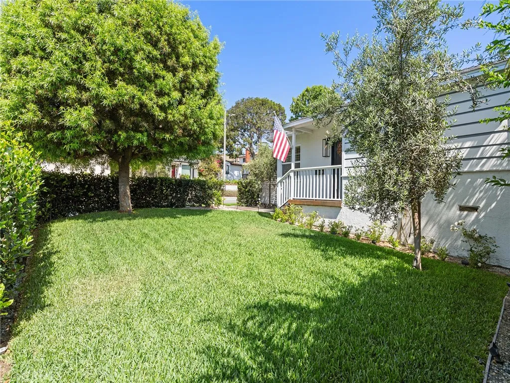 Front yard