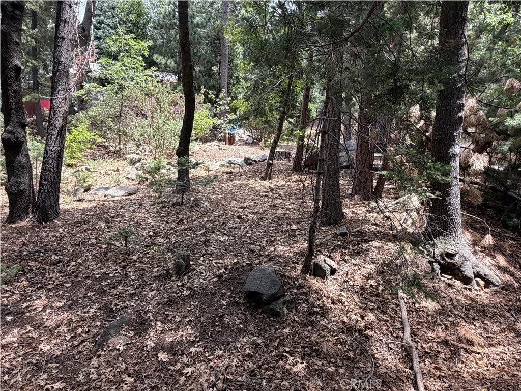 Back of Property