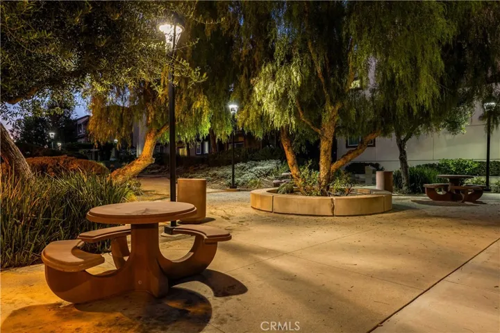 Twilight/Evening Picnic tables