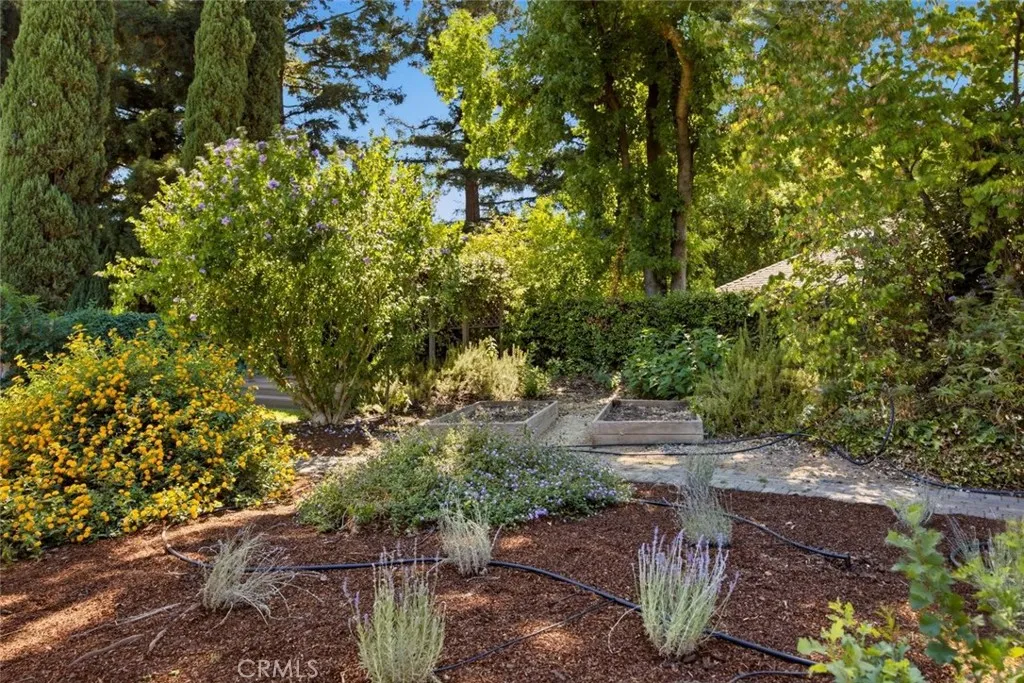 Beautiful, lush landscaping!