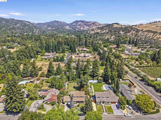 Expansive aerial perspective showcasing a residential area with mature trees and mountain backdrops