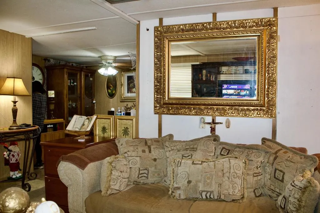 IMG_3950 IMG_3950