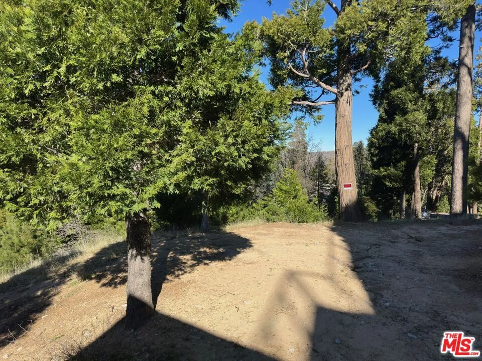 101 Mill Pond Road, Lake Arrowhead, California 92352 — photo 4
