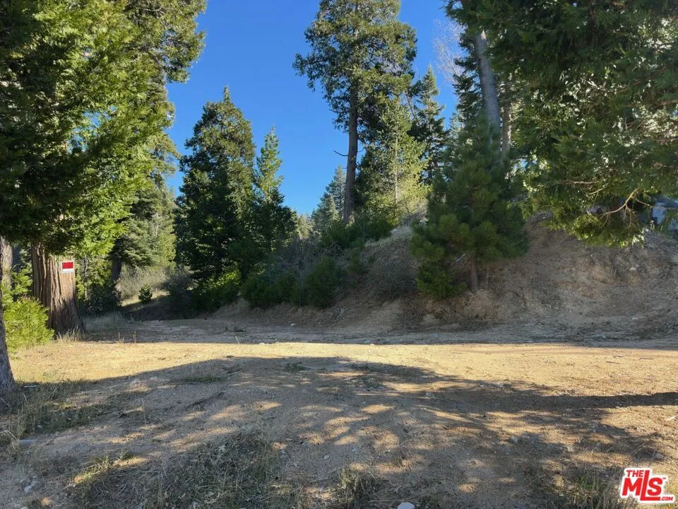 101 Mill Pond Road, Lake Arrowhead, California 92352 — photo 5