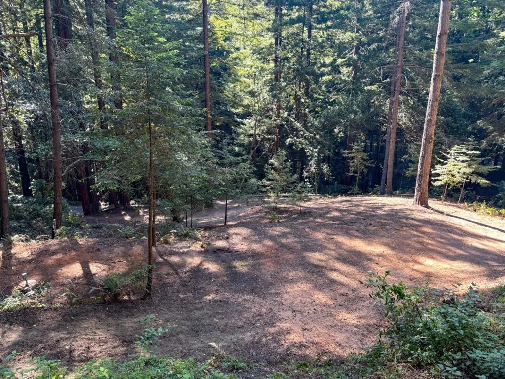 15645 Stetson Road, Los Gatos, California 95033 — photo 5