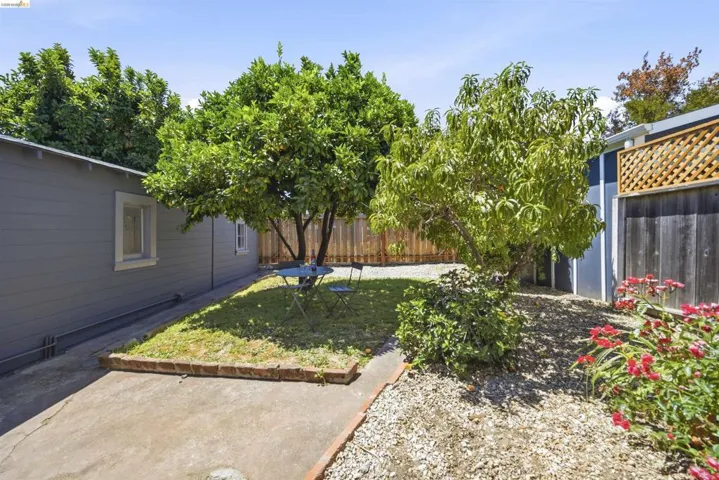 Landscaped outdoor area featuring mature trees, a small lawn section, and a concrete patio