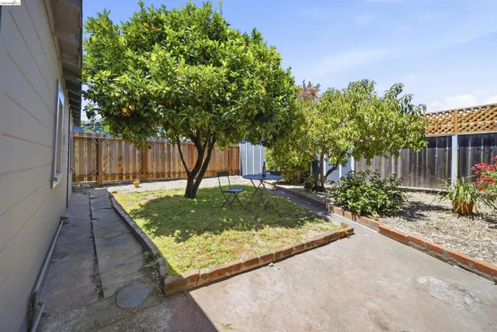 Private backyard featuring mature fruit trees, a concrete patio, a grass patch, and wood fencing