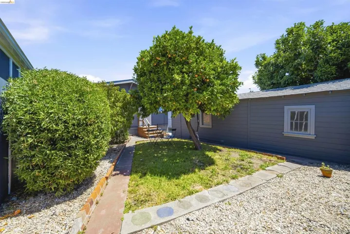 Rear yard area featuring a mature citrus tree, a gravel patio, and a grass patch
