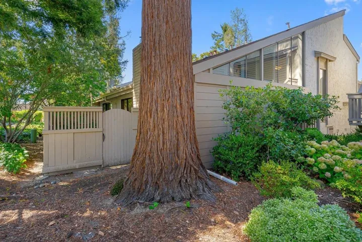 19626 Vineyard Lane, Saratoga, California 95070 — photo 5