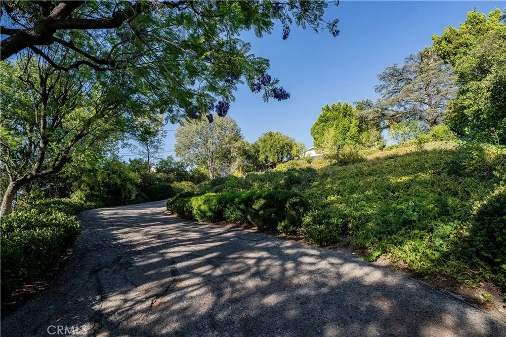 Driveway to Paradise