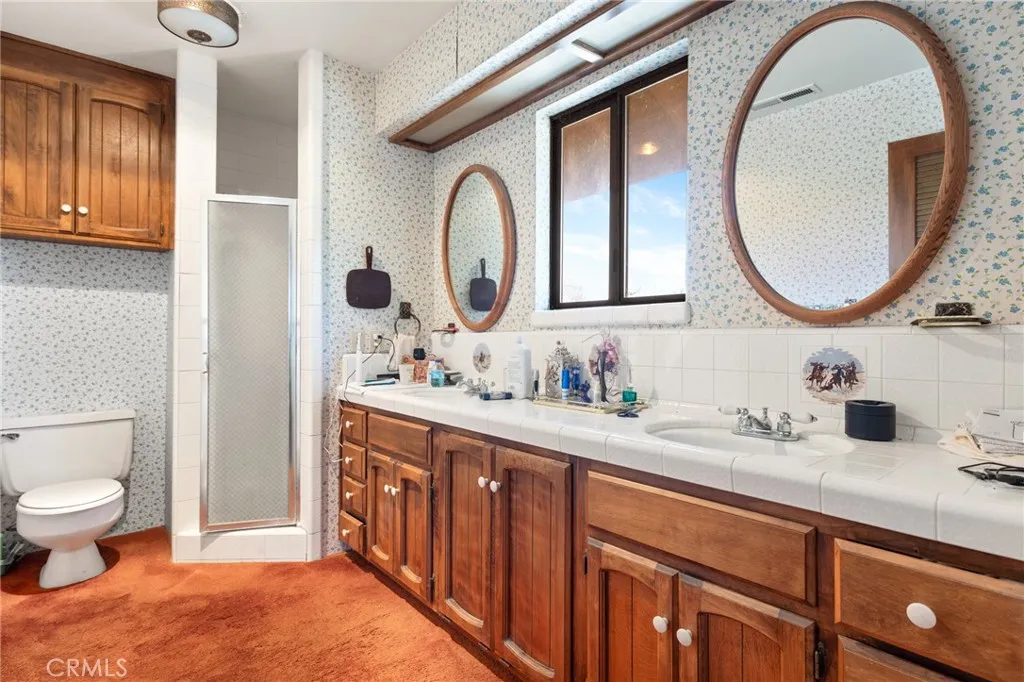 Master Bathroom 1