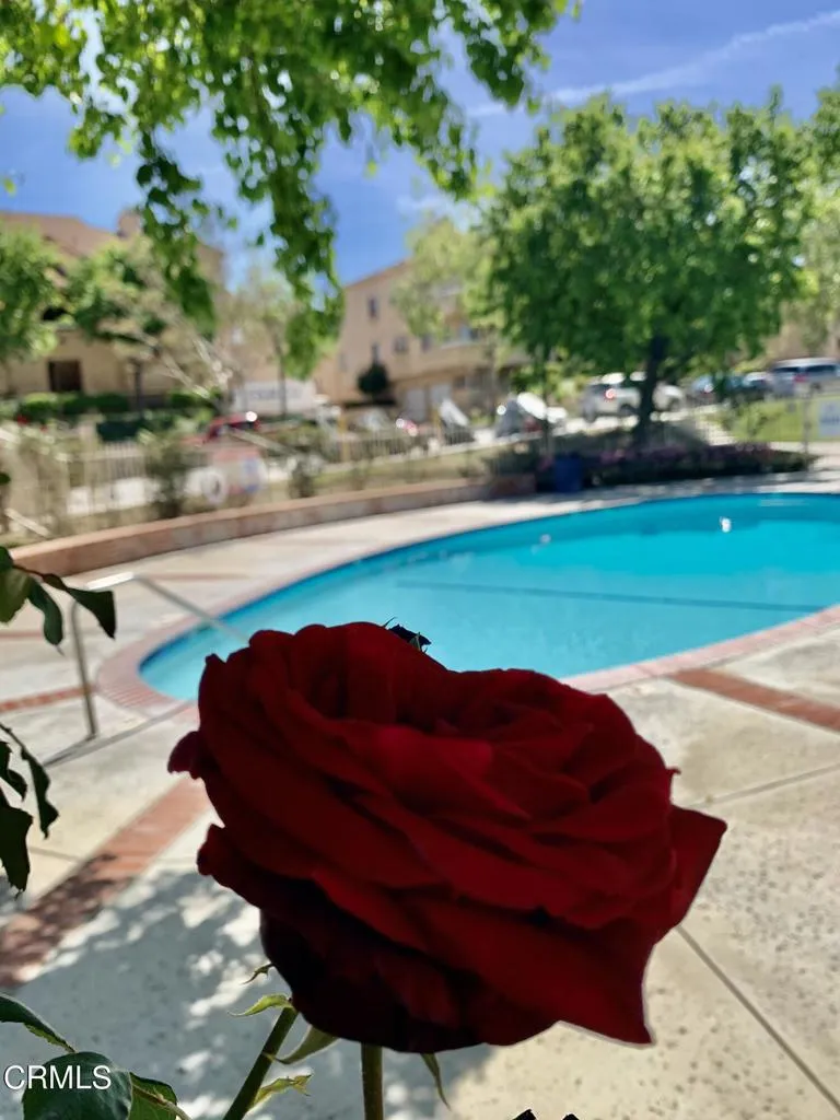 SP_Pool_4