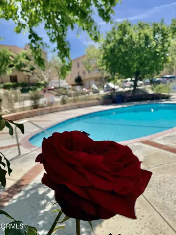 SP_Pool_4