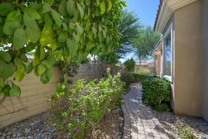 40218-calle-tepeyac-Side-yard