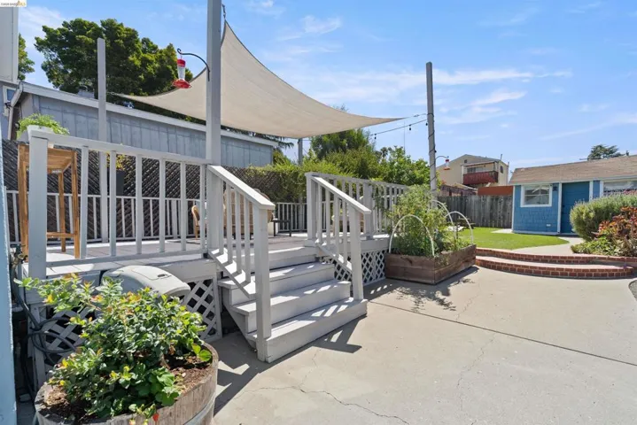 Rear yard featuring a spacious deck with white railings and stairs, a partial shade sail, generous turf lawn, a concrete patio, and mature plants and fruit trees