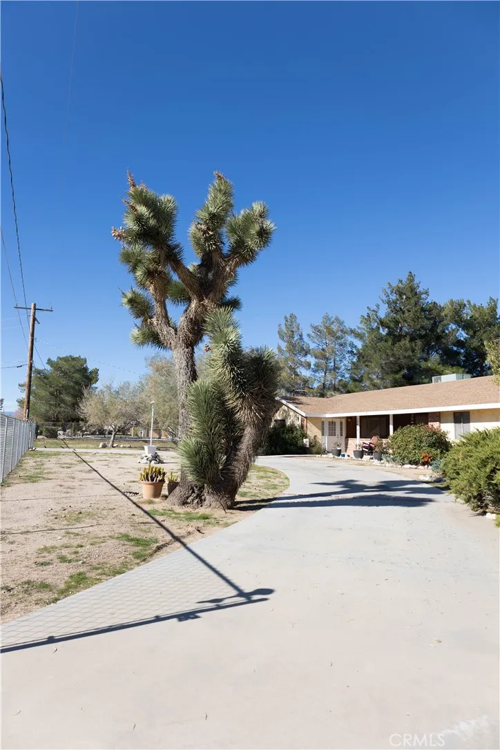 Front Driveway