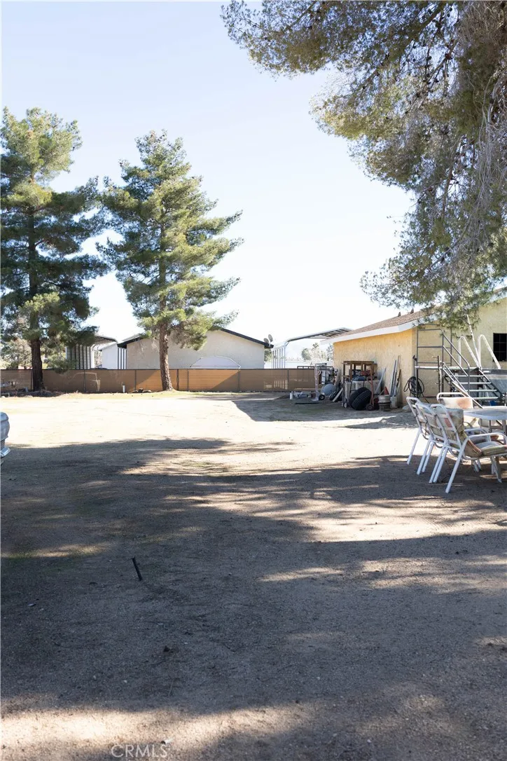 Back yard