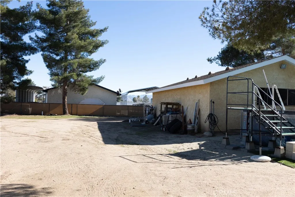Back yard