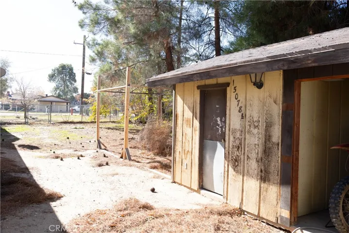 Back yard
