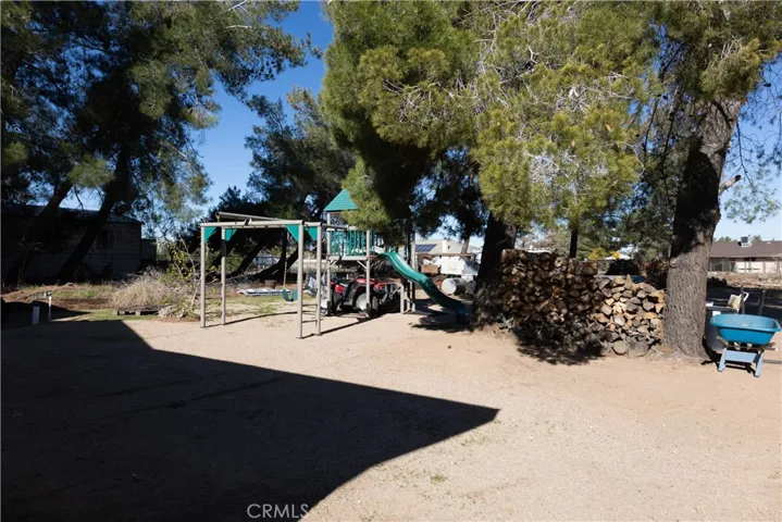 Back yard