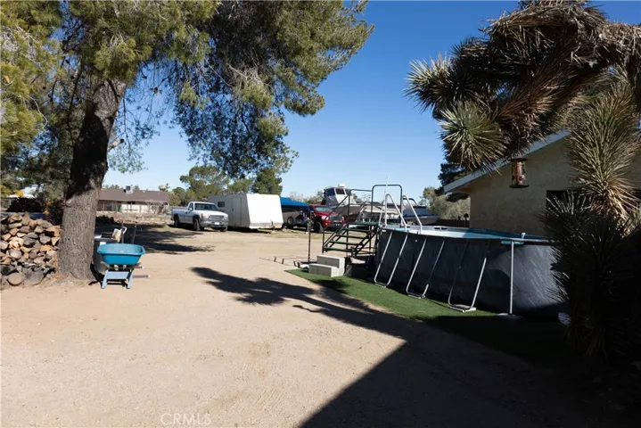 Back yard
