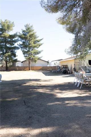 Back yard