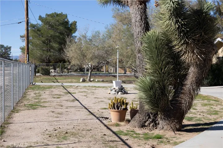 Front yard
