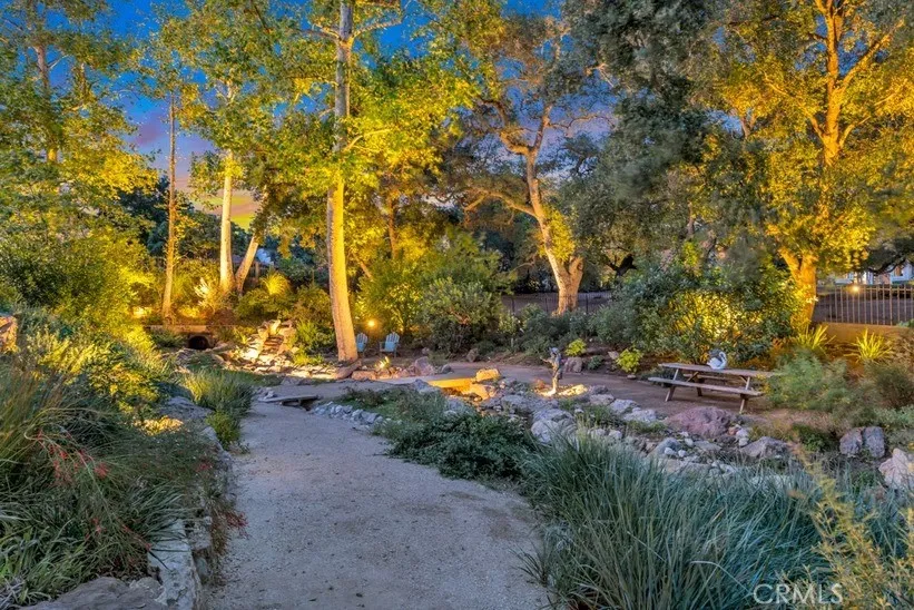 Night View of Creek