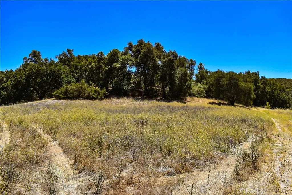 4169 Stagecoach Canyon, Santa Margarita, California 93453 — photo 4
