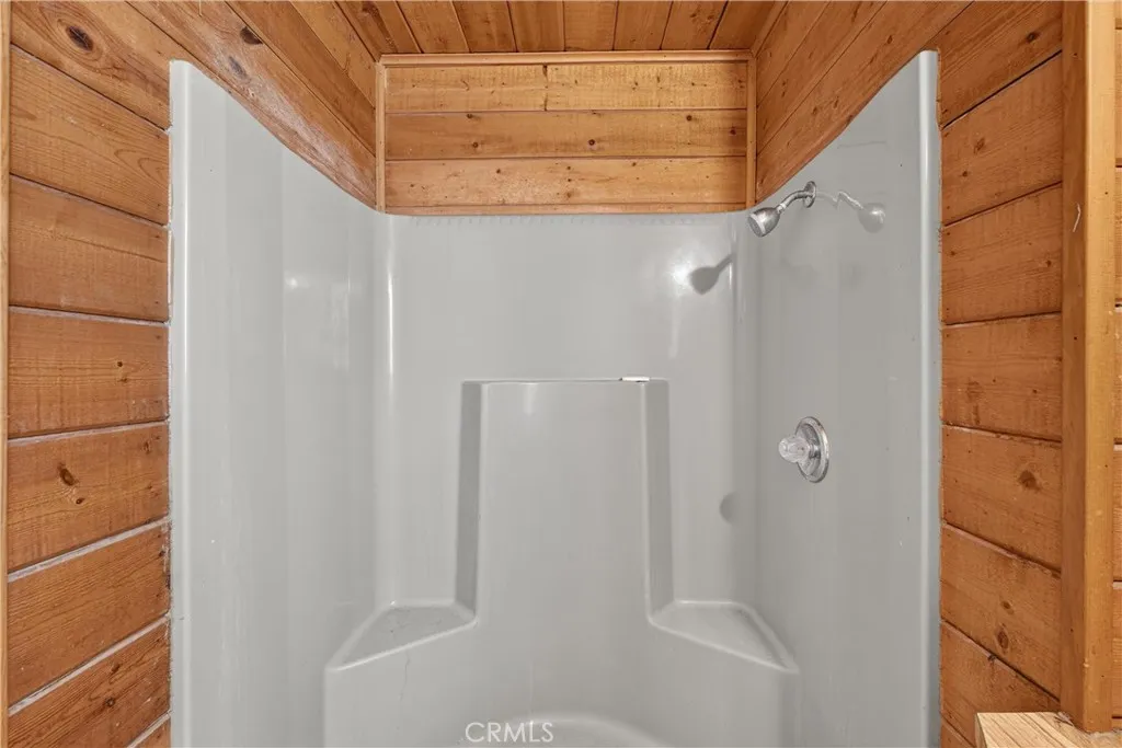 Bonus Room Shower