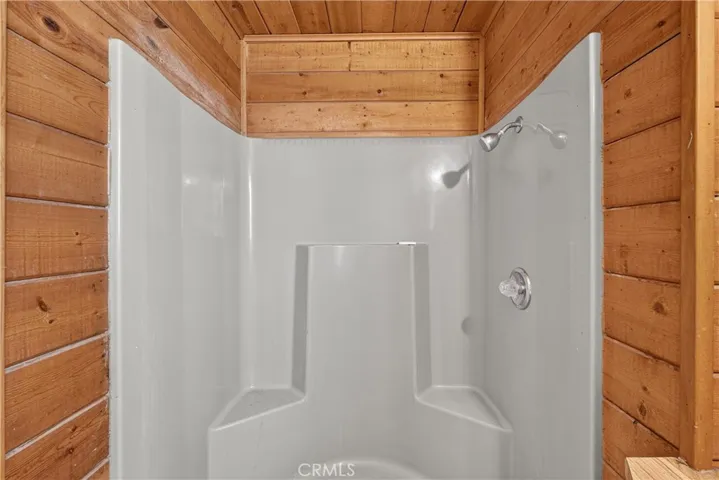 Bonus Room Shower