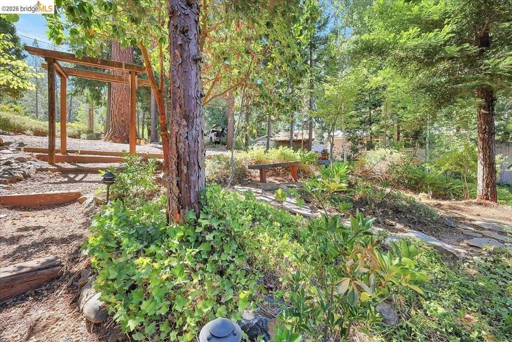 Expansive landscaped yard featuring a rustic wooden arbor, mature trees, natural stone pathways, and integrated landscape lighting