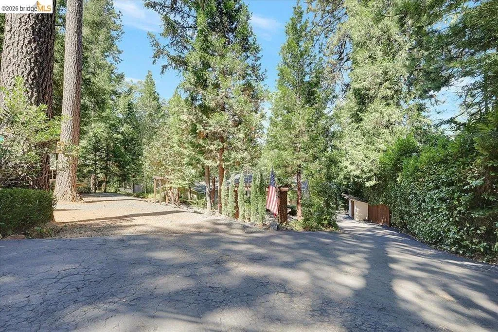Dual paved and gravel driveways surrounded by mature trees and lush green foliage