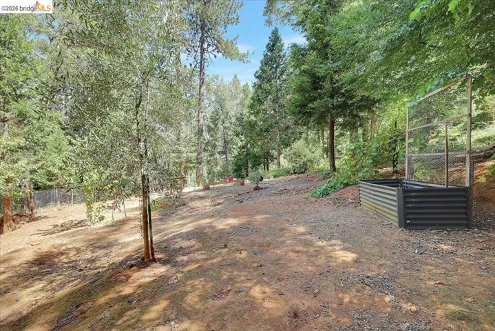 Expansive sloped property featuring a raised garden bed with trellising, mature trees, and natural ground cover