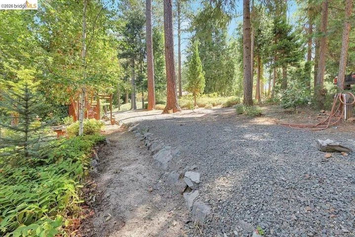 Natural landscape featuring a gravel path and wooded surroundings
