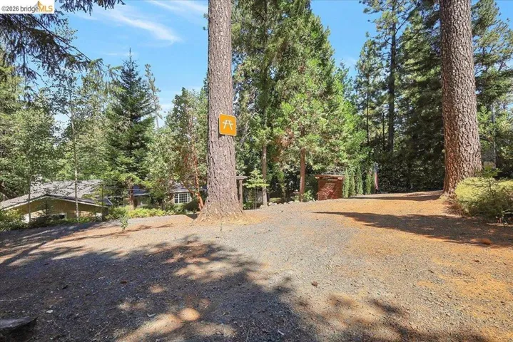 Gravel driveway with surrounding mature trees, offering a secluded setting