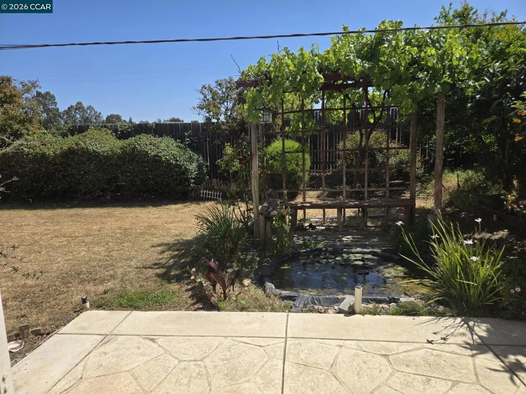 backyard view