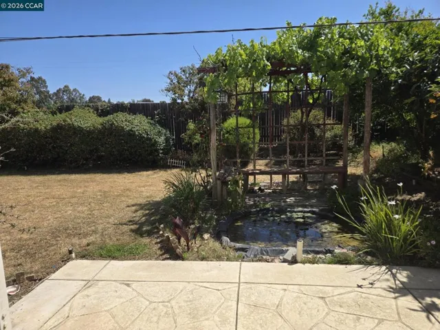 backyard view