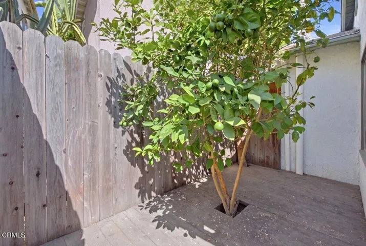 Back Patio