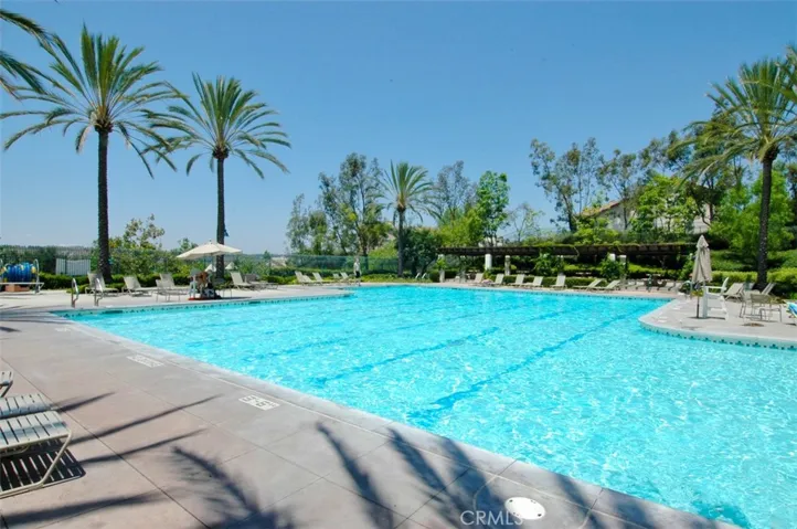 Community Pool: Large resort-style pool surrounded by lounge seating, palm trees, and landscaped grounds.