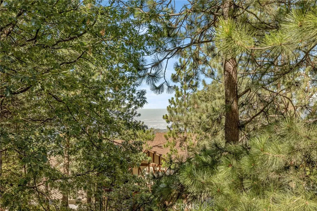 Back deck tree views.