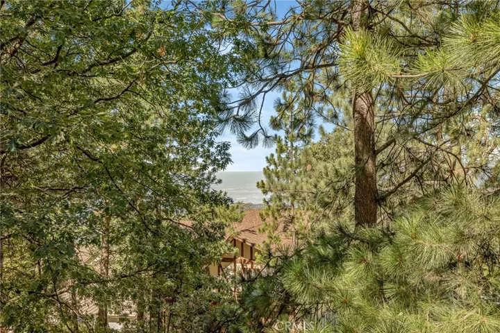 Back deck tree views.