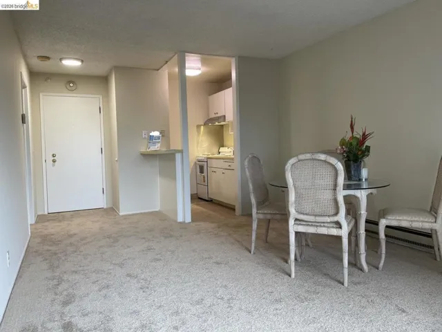 Neutral tone carpet flooring spans the living area, featuring a white entry door with brass hardware and a built-in kitchen pass-through with a countertop