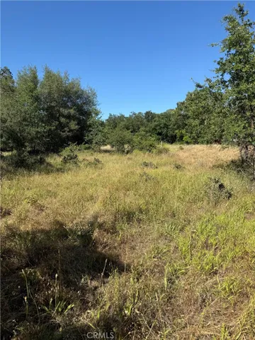 5037 Caroline, Oroville, California 95966 — photo 4