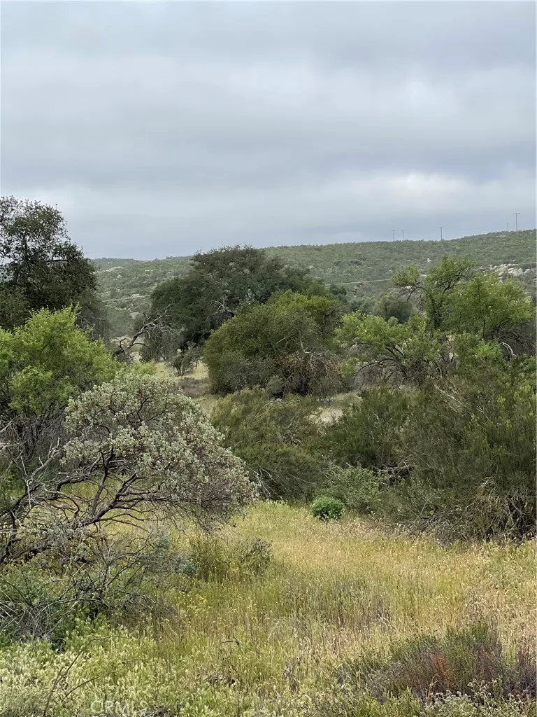 View of parcel.