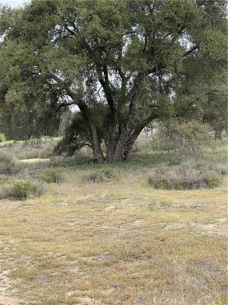 View of parcel.