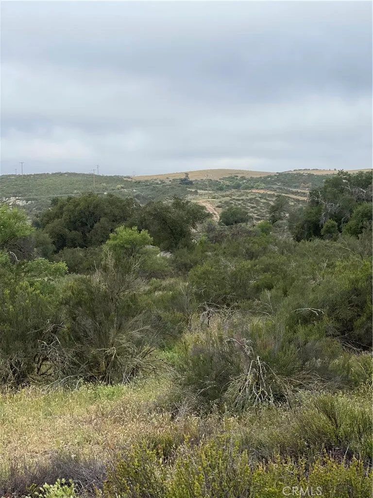 View of parcel.