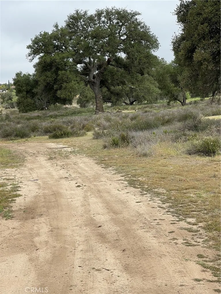 View of parcel.