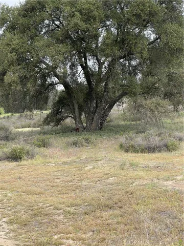 View of parcel.